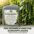 Ceres-Up Gurken Booster – Pflanzenstärkung für kräftige Gurkenpflanzen