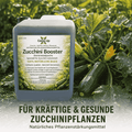 Ceres-Up Zucchini Booster – Pflanzenstärkung für kräftige Zucchini-Pflanzen